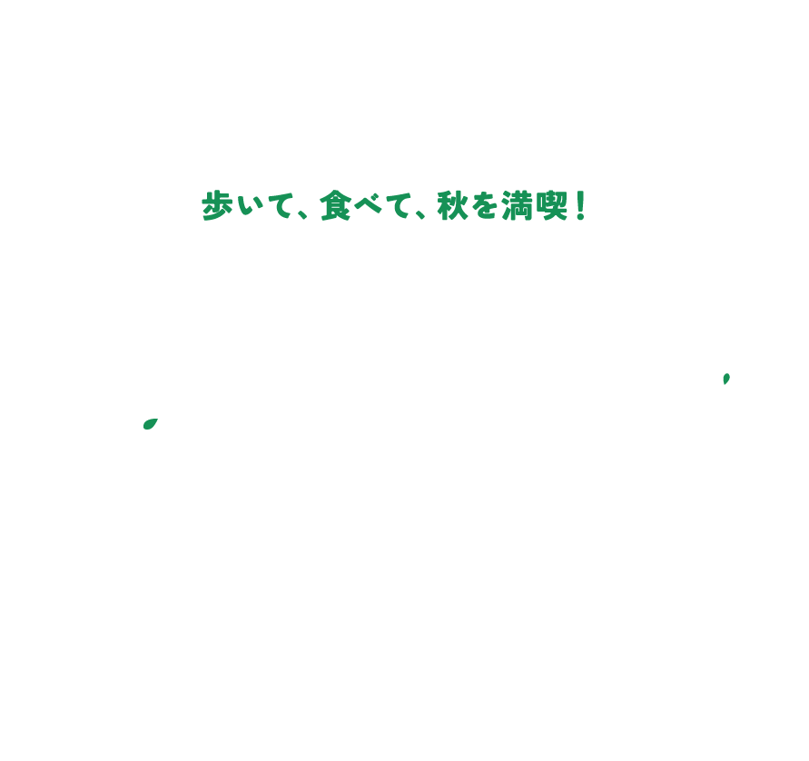 はじめてのロゲイニング in ちはや園地