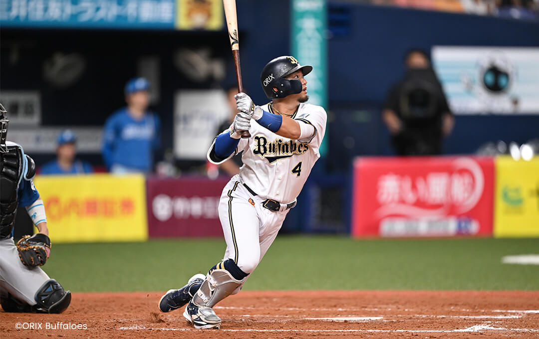 Orix Buffaloes